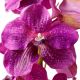 Aranjamente florale LUX - Buchet artificial LUX din 24 fire orhidee fuchsia, Vanda Orchids