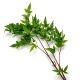 Aranjamente florale LUX - Buchet artificial LUX din 36 fire frunze Tender