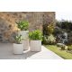 Ghivece - Ghiveci plante design decorativ modern exterior / interior GATSBY 40x80cm