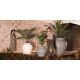 Ghivece - Ghiveci plante design decorativ modern exterior/interior Venus 125x120cm