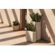 Ghivece - Ghiveci plante design decorativ modern exterior/interior MILOS III