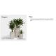 Ghivece - Ghiveci plante design decorativ modern exterior/interior ORIGAMI Hasu 17,8×17,8×25cm