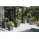 Ghivece - Set de 2 Jardiniere plante design decorativ exterior/interior JARDINIERE 60x20x20cm