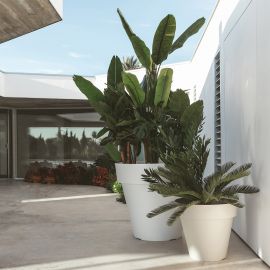 Ghivece - Ghiveci plante design decorativ exterior/interior MACETA PLANTER 200x172cm