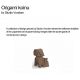 Decoratiuni - Decoratiune/ Statueta exterior sau interior Origami Koinu, mat