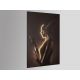 Tablouri - Tablou de perete decorativ cu iluminat Silueta