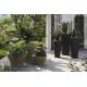 Ghivece - Ghiveci plante design decorativ modern exterior / interior CURVED 80x180cm