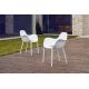 Scaune - Set de 4 Scaune moderne cu brate de exterior / interior design premium SABINAS ARMCHAIR