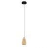 Pendul LED modern, Metal, Sticla, Champaign, ALISH