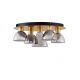 Plafoniere - Plafoniera cu 5 spoturi LED, Metal, Sticla, Fumuriu, Voi