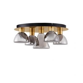 Plafoniera cu 5 spoturi LED, Metal, Sticla, Fumuriu, Voi