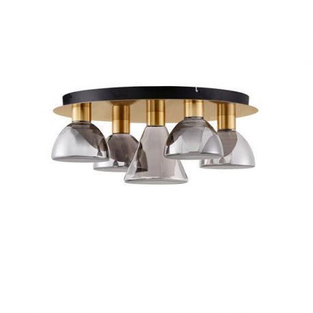 Plafoniere - Plafoniera cu 5 spoturi LED, Metal, Sticla, Fumuriu, Voi