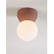 Plafoniere cu spoturi, Spoturi aplicate - Plafoniera, Spot aplicat, Ghips, Rosu, Zero