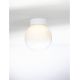 Plafoniere - Plafoniera LED design circular BOLITA diametru-20cm, NVL-9204029