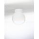 Plafoniere - Plafoniera LED design circular BOLITA diametru-20cm, NVL-9204029