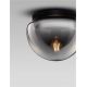 Plafoniere - Plafoniera LED design decorativ EBONY Smokey Gray, NVL-9236502