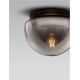 Plafoniere - Plafoniera LED design decorativ EBONY Smokey Gray, NVL-9236502