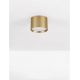 Plafoniere cu spoturi, Spoturi aplicate - Spot LED aplicat diametru 12cm ZIAZA auriu, NVL-9695168