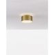 Plafoniere cu spoturi, Spoturi aplicate - Spot LED aplicat diametru 14cm OZEN auriu, NVL-9695172