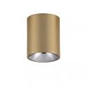 Spot LED aplicat diametru 7,2cm ANETO auriu, NVL-9695152