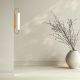 Aplice, corpuri de iluminat pentru pereti - Aplica de perete LED, Sticla Verticala, MILKY GLASS, ZB-25152
