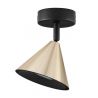 Plafoniera/Spot directionabil CONICO auriu, NVL-9011424