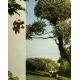 Aplice - Corp de iluminat LED exterior, IP65, BANG STEP LIGHT SMALL Corten