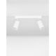 Plafoniere cu spoturi, Spoturi aplicate - Plafoniera cu 2 Spoturi directionabile minimalista REIG, NVL-9011535