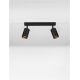 Plafoniere cu spoturi, Spoturi aplicate - Plafoniera cu 2 Spoturi directionabile minimalista REIG, NVL-9011534