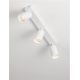 Plafoniere cu spoturi, Spoturi aplicate - Plafoniera cu 3 Spoturi directionabile minimalista REIG, NVL-9011537