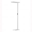 Lampadar, Lampa de podea LED cu senzor de lumina BIOLIGHT NVL-9416978 