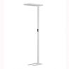 Lampadar, Lampa de podea LED cu senzor de lumina BIOLIGHT NVL-9416978 