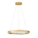 Lustra suspendata LED design circular Alaro 60cm NVL-9019725