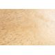Masute Living - Masuta de cafea, Metal Auriu, lucrata manual, UNIT 70cm A-42732 VC