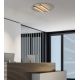 Plafoniere - Plafoniera LED 24W 3000K BLACK STICK-GREY ZB-2568