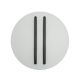 Plafoniere - Plafoniera LED 13W 3000K BLACK STICK-GREY ZB-2573