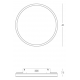 Plafoniere - Plafoniera LED CCT, diametru 40cm, BRUSHED SILVER ZB-25161