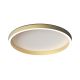 Plafoniera LED CCT, diametru 59cm, BRUSHED GOLD ZB-25164
