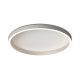 Plafoniere - Plafoniera LED CCT, diametru 59cm, BRUSHED SILVER ZB-25165