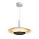 Pendule, Lustre suspendate - Pendul LED design tehnic, diametru 40cm Tina MA-9001