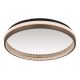 Plafoniera moderna LED CCT DELLA 67179D GL