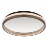 Plafoniera moderna LED CCT DELLA 67179D GL