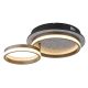 Plafoniere - Plafoniera moderna LED CCT DELLA 67179D1 GL