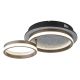 Plafoniere - Plafoniera moderna LED CCT DELLA 67179D1 GL
