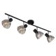 Plafoniere cu spoturi, Spoturi aplicate - Plafoniera metal negru sticla fumurie ZACHERY 4L