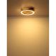 Plafoniere - Plafoniera LED riflaj cu efect de lemn TISHA