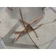 Mese dining - Masa rotunda design modern Veola auriu roze 130cm