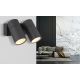 Aplice - Aplica cu 2 Spoturi iluminat exterior protectie IP44 PIPER
