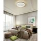 Plafoniere - Plafoniera LED slim CCT culorile pot fi fixate RUIZ I
