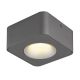 Spot LED aplicat aluminiu gri HANGARAU 1